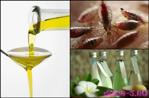 Кои естествени масла са най-подходящи за премахване на въшки и гниди