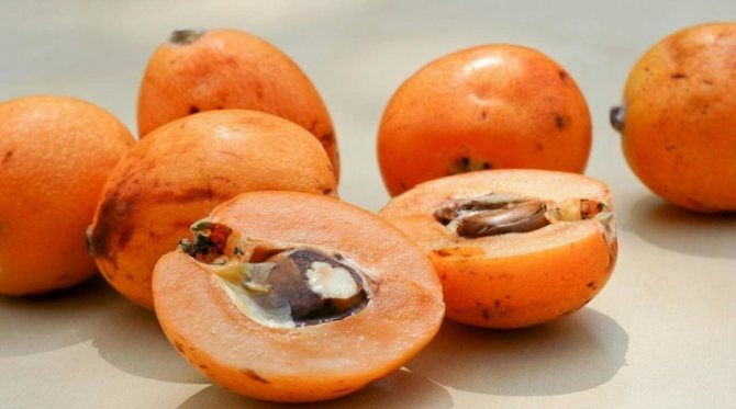 Vilka sorter av persimmon kan odlas från en sten