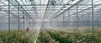 What temperature should be in greenhouses