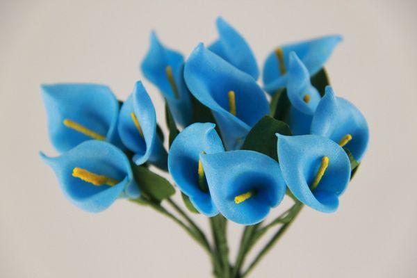 Calla lilies Blue