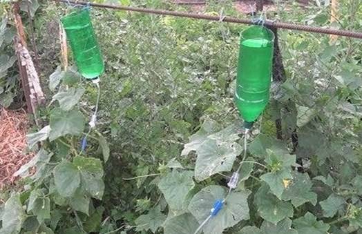 DIY drip irrigation from polypropylene pipes