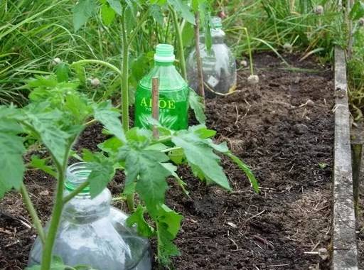 DIY drip irrigation from polypropylene pipes