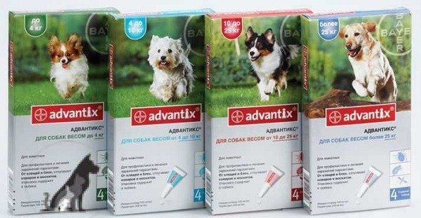 Advantix נגד קרציות נובלת טיפות לכלבים