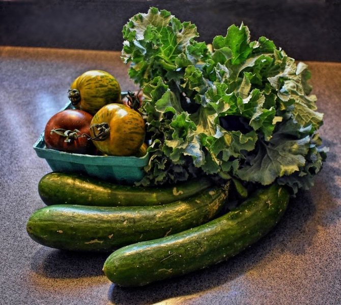 Зеленчуци - отглеждане, засаждане, размножаване и грижи