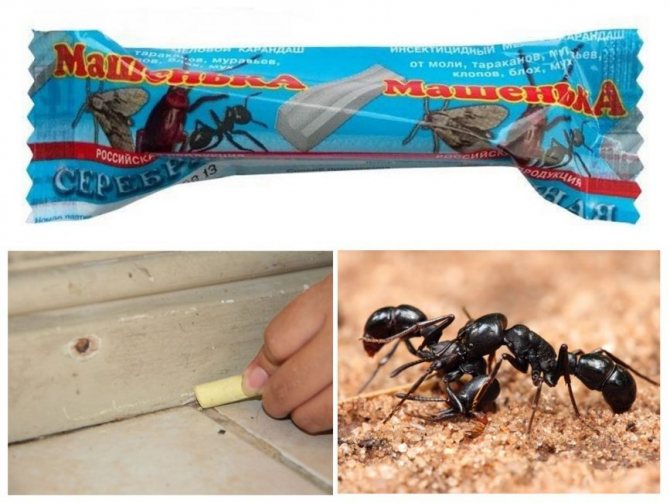 creioane împotriva furnicilor