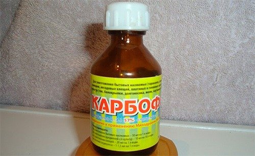 Karbofos - will help destroy bedbugs