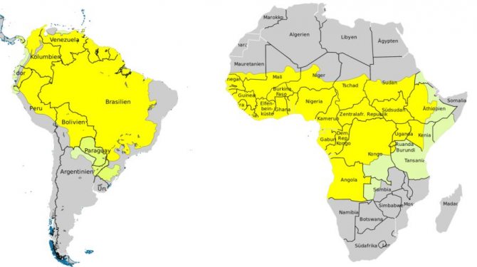 карта за разпространение на жълта треска