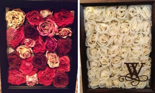 Fotografie sušených růží na fotografii