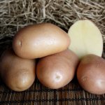Kartoffeln Azhur
