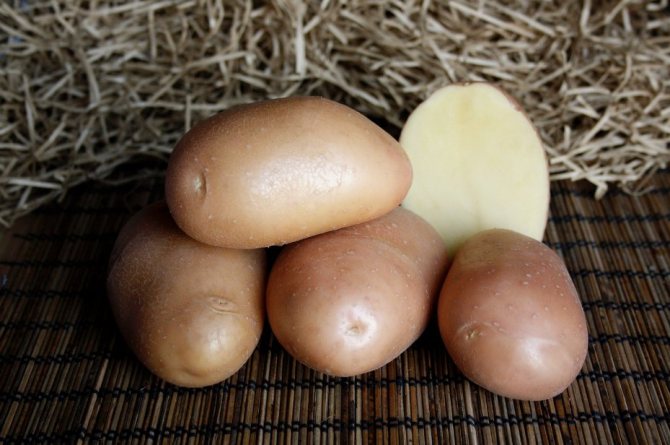Kartoffeln Azhur