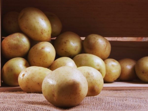 يمكن تخزين البطاطس حتى منتصف الربيع