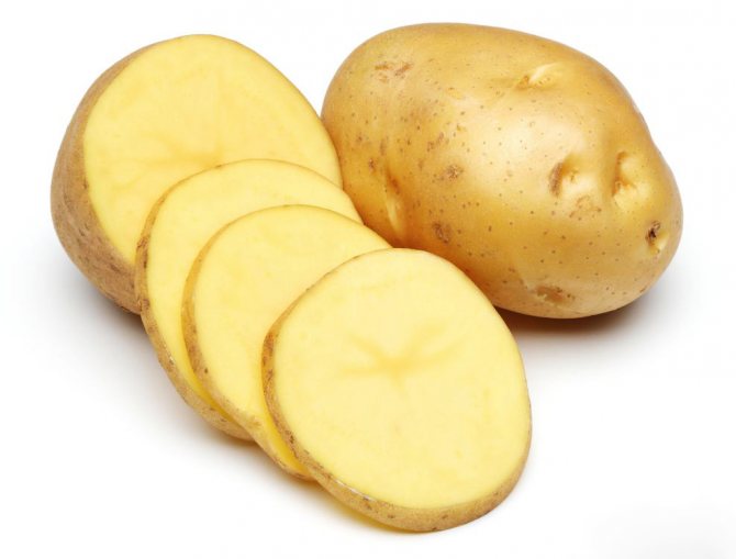 Potatoes Nevsky - variety description, photos, reviews