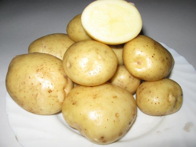 santa potatoes