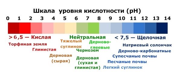 Acidity of different types of soils