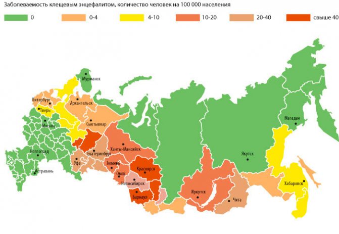 Кърлежи в региона на Москва 2020: енцефалит, опасни зони на картата - кърлежите вече са на лов