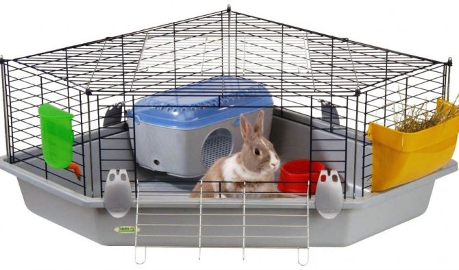 Cage for a decorative rabbit