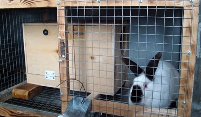 Rabbit Breeding Cage