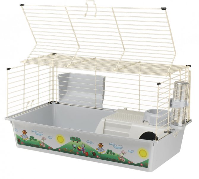 A rabbit cage can be purchased at a pet store