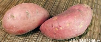 درنات البطاطا الحلوة
