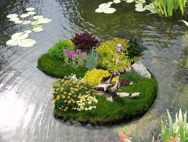 Flowerbed in the pond