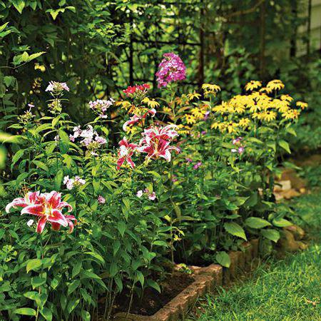 flower beds with lilies do it yourself