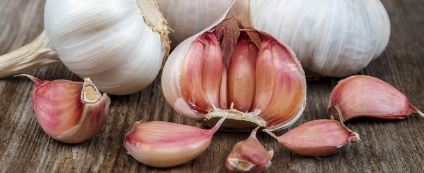 When to plant garlic in the Moscow region