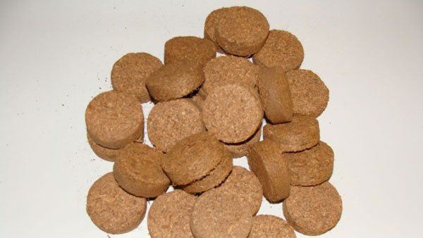 Coconut seedling tablets