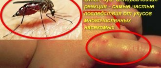 mygga och bitmärken på armen