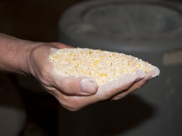 Smíšené krmivo pro slepice se vyrábí pomocí mlýna