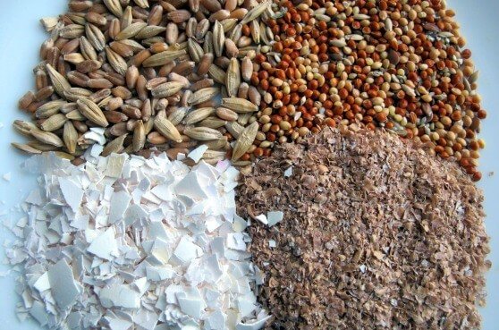 DIY compound feed for quails