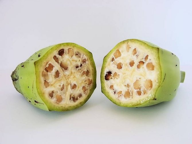 Vnitřní banán - banán, banánová fotografie