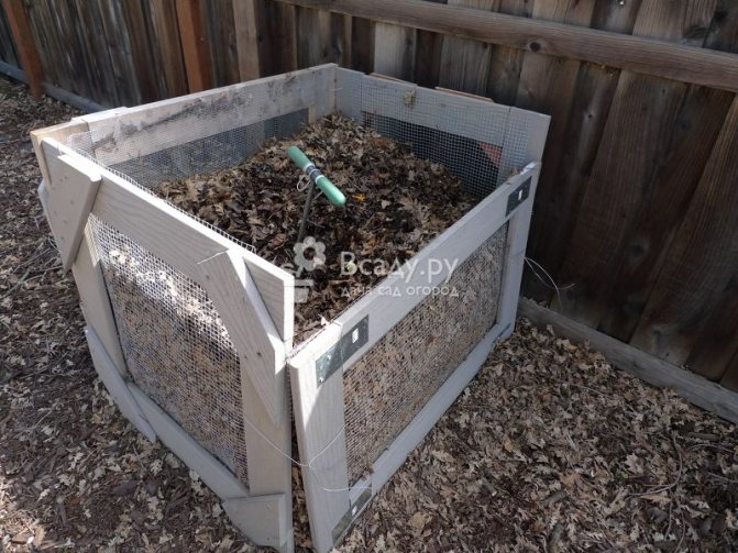 Sawdust compost is an excellent material for feeding and mulching