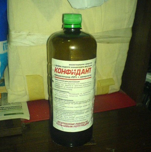 Confidant - professional remedy for bedbugs