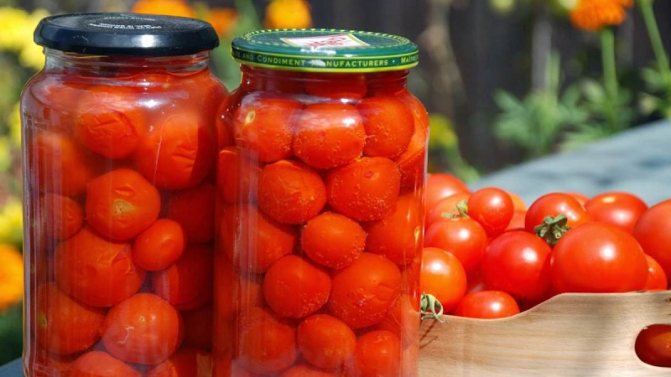 Консервирани домати за зимата: селекция от най-добрите рецепти и полезни съвети за правилната подготовка на обрати