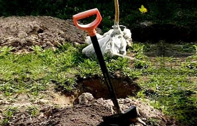 Menggali lubang untuk menanam pokok