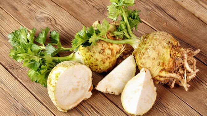 Celery root: how to eat for weight loss and treatment