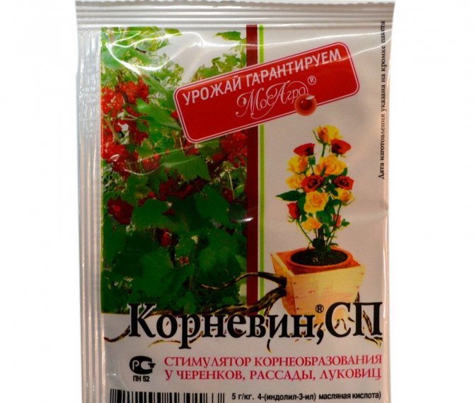 Kornevin, stimulátor kořenů rostlin