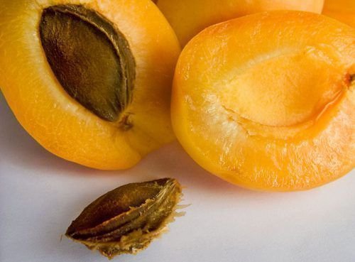Apricot kernel
