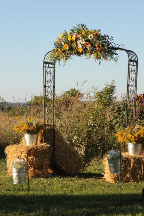 beautiful arches for flowers in the country