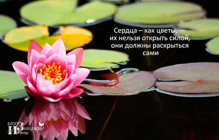 vackra citat om blommor