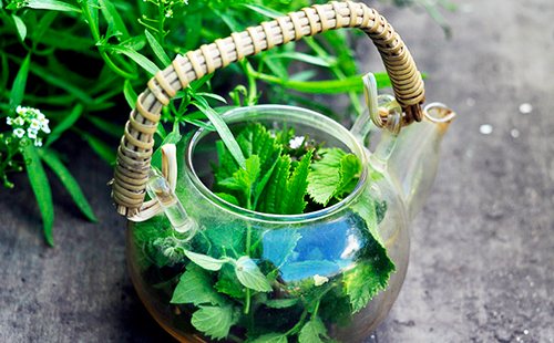 A beautiful kettle with a wicker handle, full of wild mint decoction