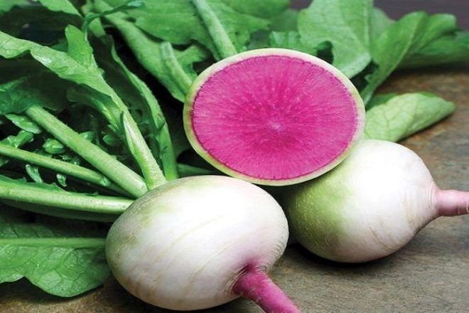 red radish benefits and harms