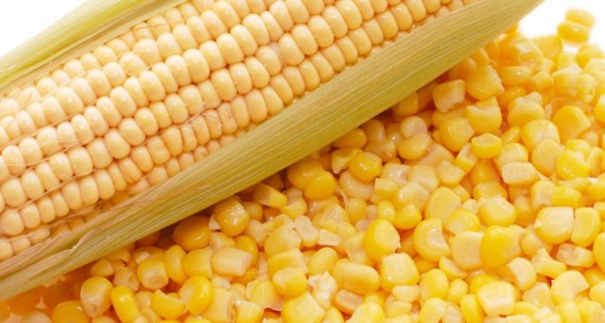 Bonduelle corn