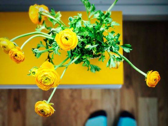 kultur med gula blommor