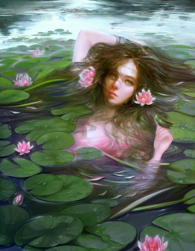water lily grows in a swamp