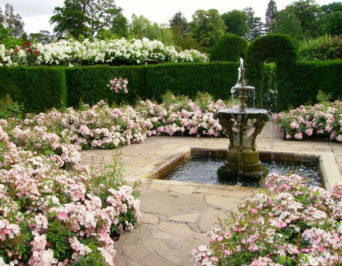 Landscaping of the site in the English style with a fountain