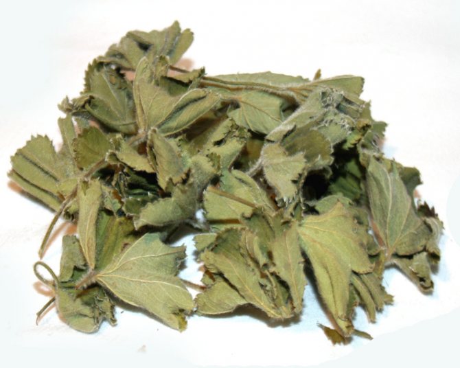Medicinal dried herb