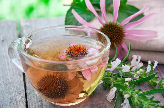 The healing properties of echinacea