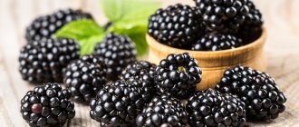 medicinal properties of blackberries