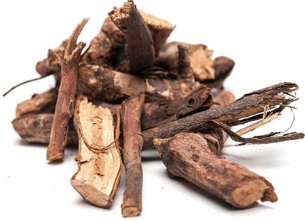 Healing properties of elecampane root. Recipes on how to prepare, brew, take herb. Contraindications